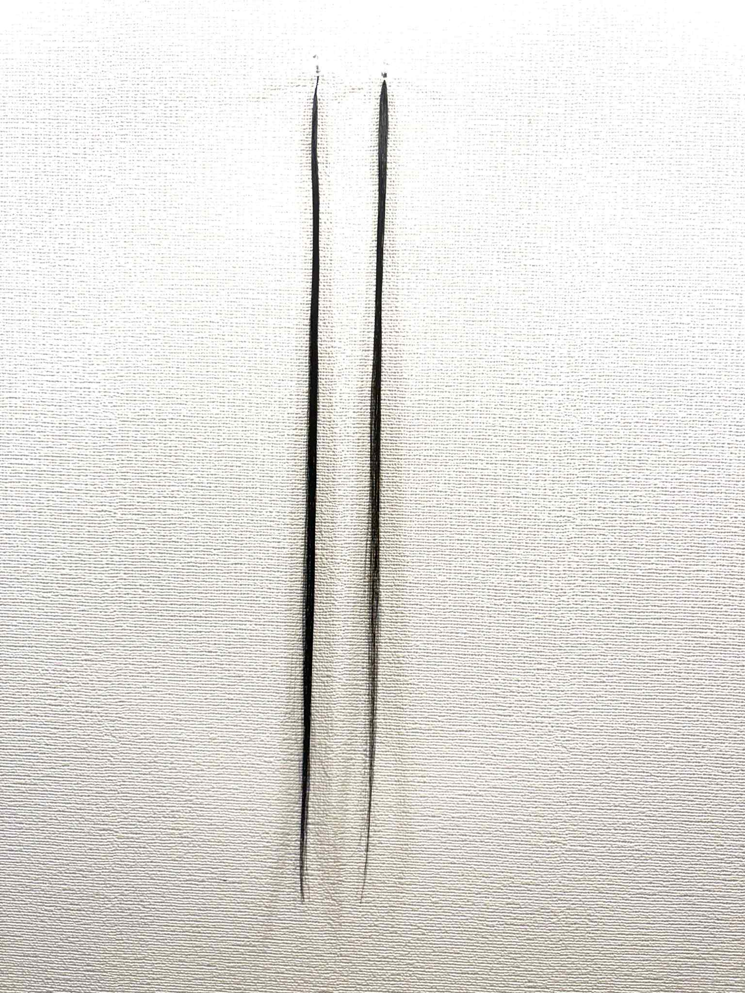 最高峰の毛質